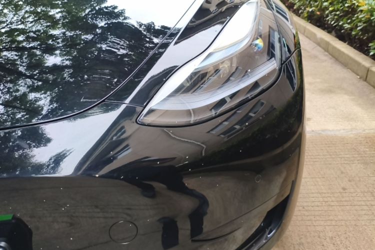 Tesla Model Y 2023 #23 Tesla Model Y 2023 car image #23