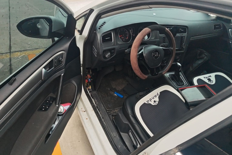Volkswagen Golf 2016 car image #12