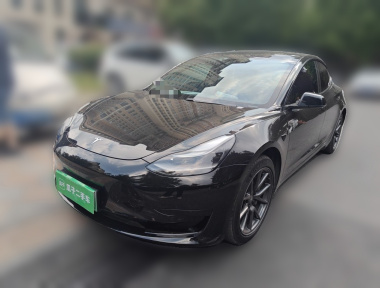 Tesla Model 3 2021 immagine di auto 