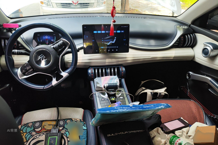 BYD Yuan Plus 2022 car image #11