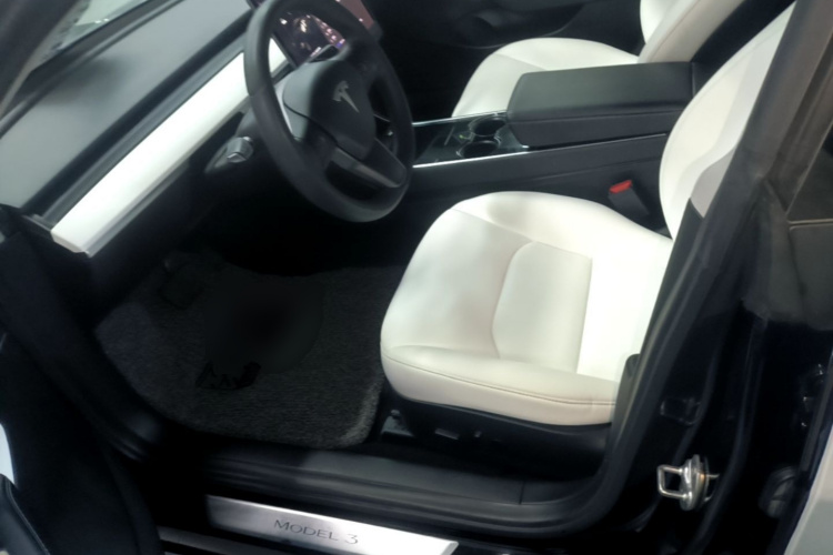 Tesla Model 3 2020 #15 Tesla Model 3 2020 car image #15