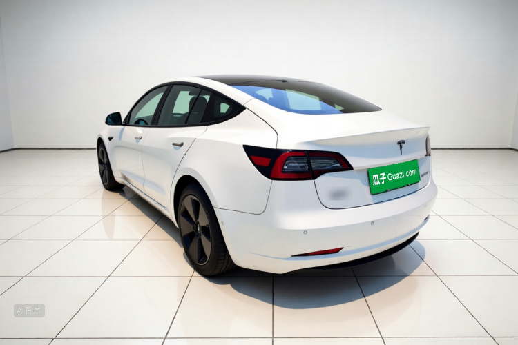 Tesla Model 3 2022 car image #5