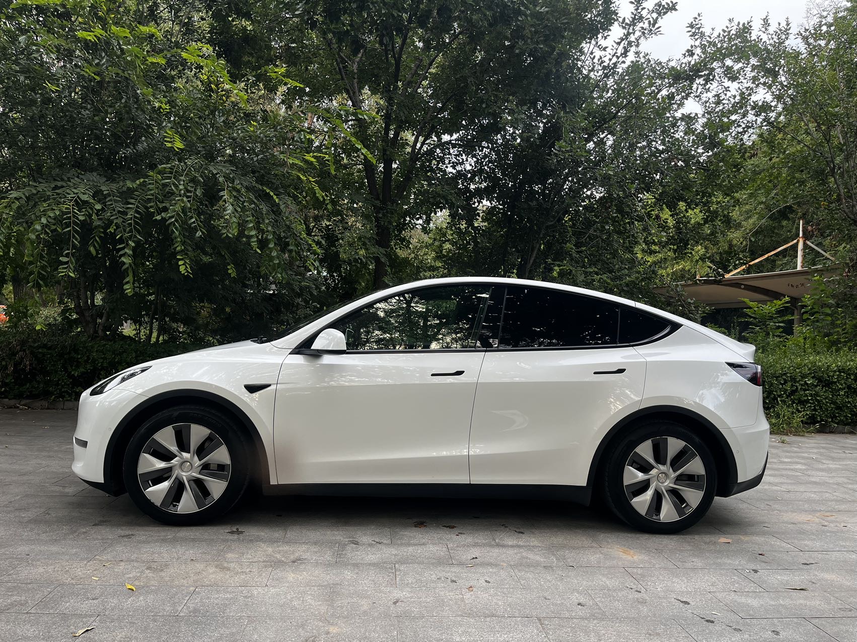 Tesla Model Y 2021 #3 Tesla Model Y 2021 car image #3