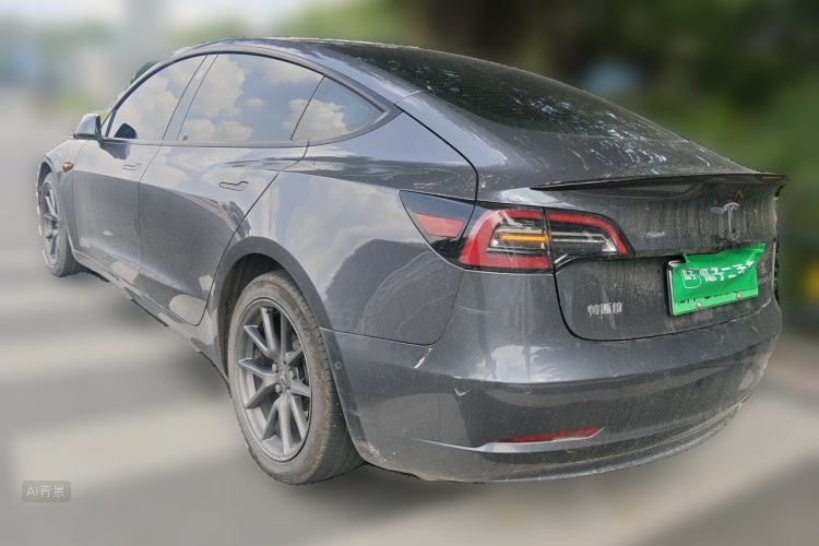 Tesla Model 3 2021 car image #5