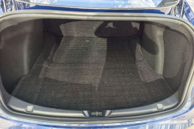 Tesla Model 3 2020 car image #16