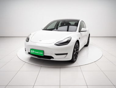 Tesla Model 3 2021 Tesla Model 3 2021 car image
