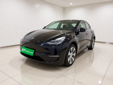 Tesla Model Y 2021 Tesla Model Y 2021 car image