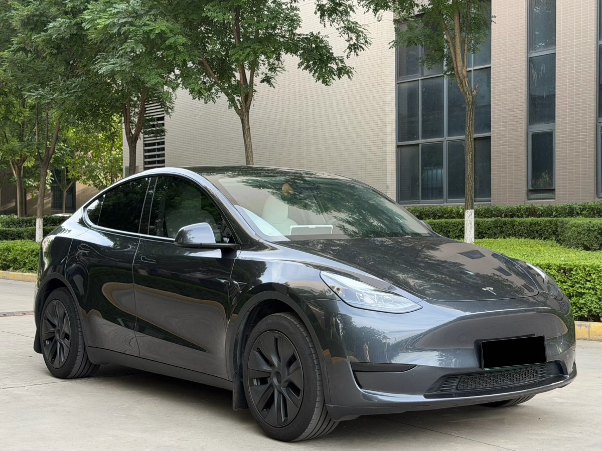 Tesla Model Y 2024 car image #3