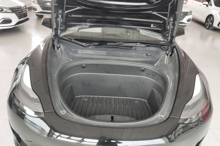 Tesla Model 3 2002 #22 Tesla Model 3 2002 car image #22