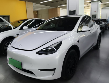 Tesla Model Y 2022 Tesla Model Y 2022 imagen de coche