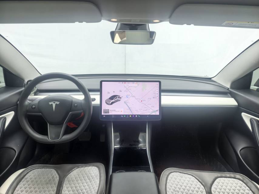 Tesla Model 3 2021 #5 Tesla Model 3 2021 car image #5
