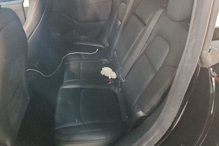 Tesla Model Y 2023 #17 Tesla Model Y 2023 car image #17