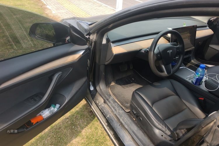 Tesla Model 3 2022 #18 Tesla Model 3 2022 car image #18