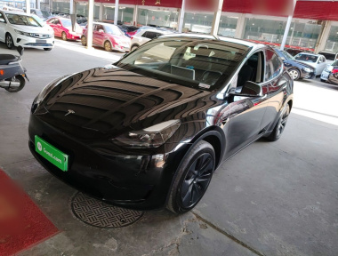 Tesla Model Y 2023 Tesla Model Y 2023 car image