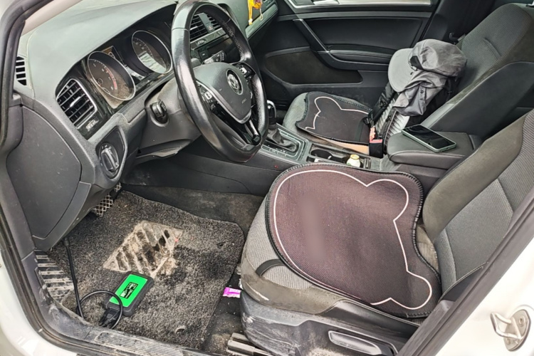 Volkswagen Golf 2019 #15 Volkswagen Golf 2019 car image #15