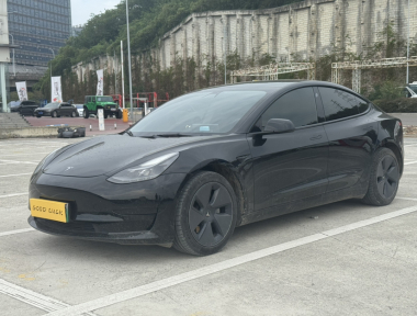 Tesla Model 3 2021 Tesla Model 3 2021 car image