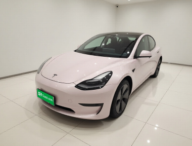 Tesla Model 3 2021 Tesla Model 3 2021 immagine di auto