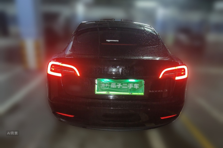 Tesla Model 3 2022 car image #6