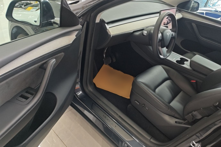 Tesla Model Y 2024 car image #16