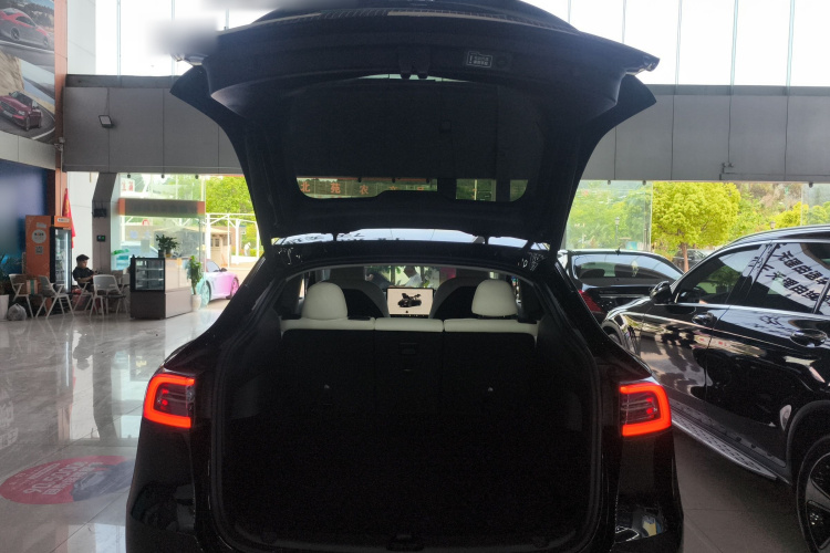 Tesla Model Y 2024 #19 Tesla Model Y 2024 car image #19