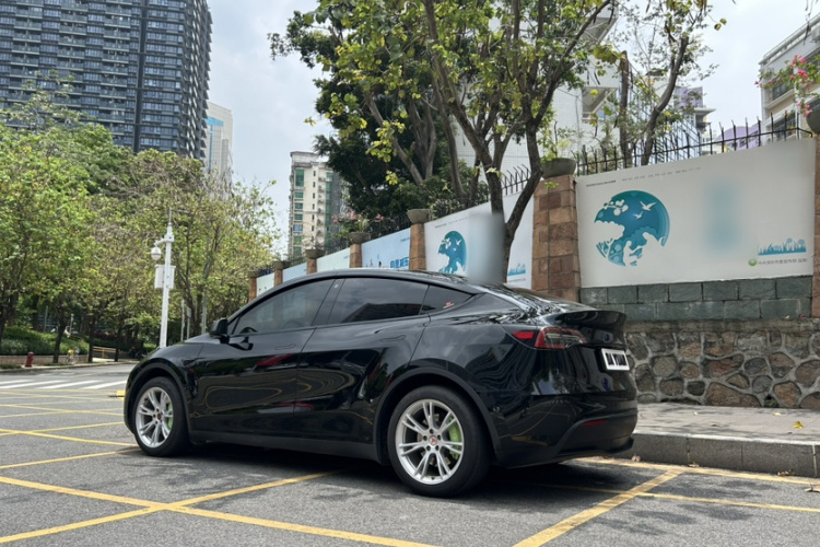 Tesla Model Y 2023 immagine di auto #7