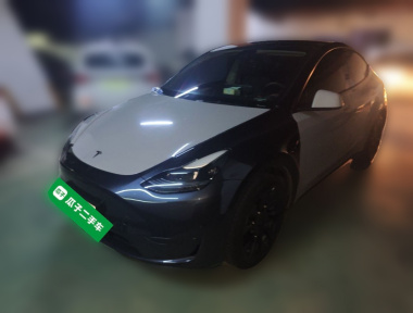 Tesla Model Y 2024 Tesla Model Y 2024 car image