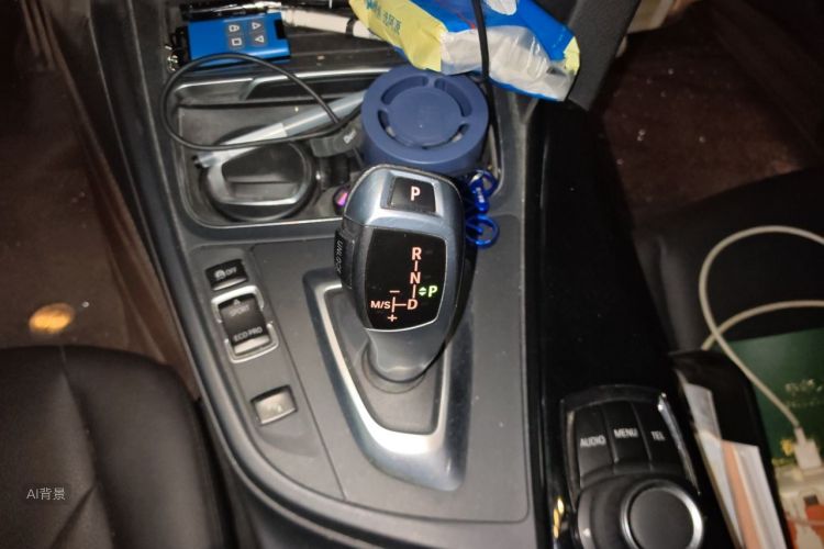 BMW 3 Series 2017 car image #16
