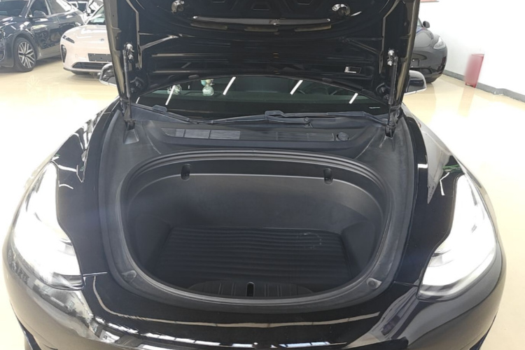 Tesla Model 3 2020 #20 Tesla Model 3 2020 immagine di auto #20