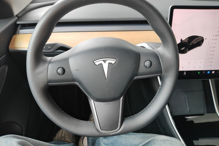 Tesla Model 3 2020 car image #15