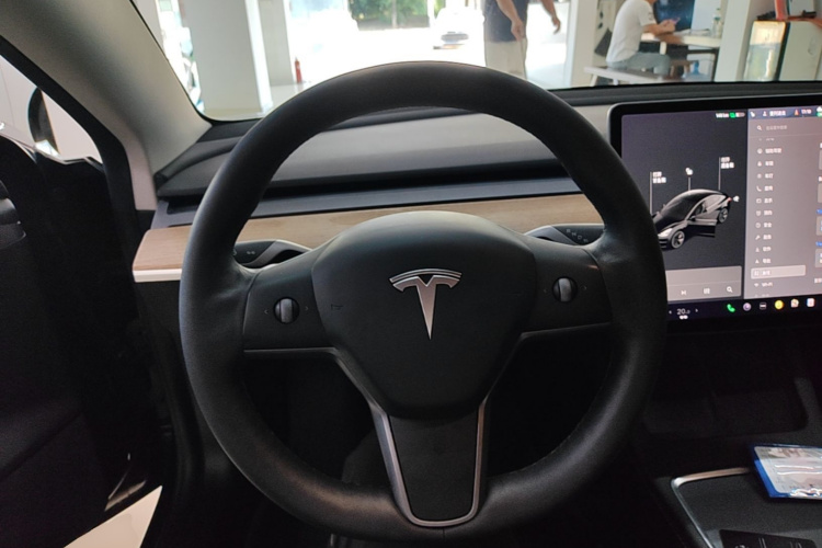 Tesla Model 3 2021 #15 Tesla Model 3 2021 immagine di auto #15