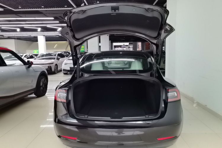 Tesla Model 3 2022 car image #19