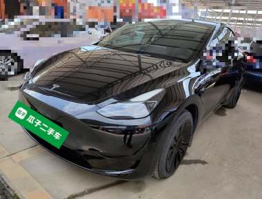 Tesla Model Y 2023 Tesla Model Y 2023 car image