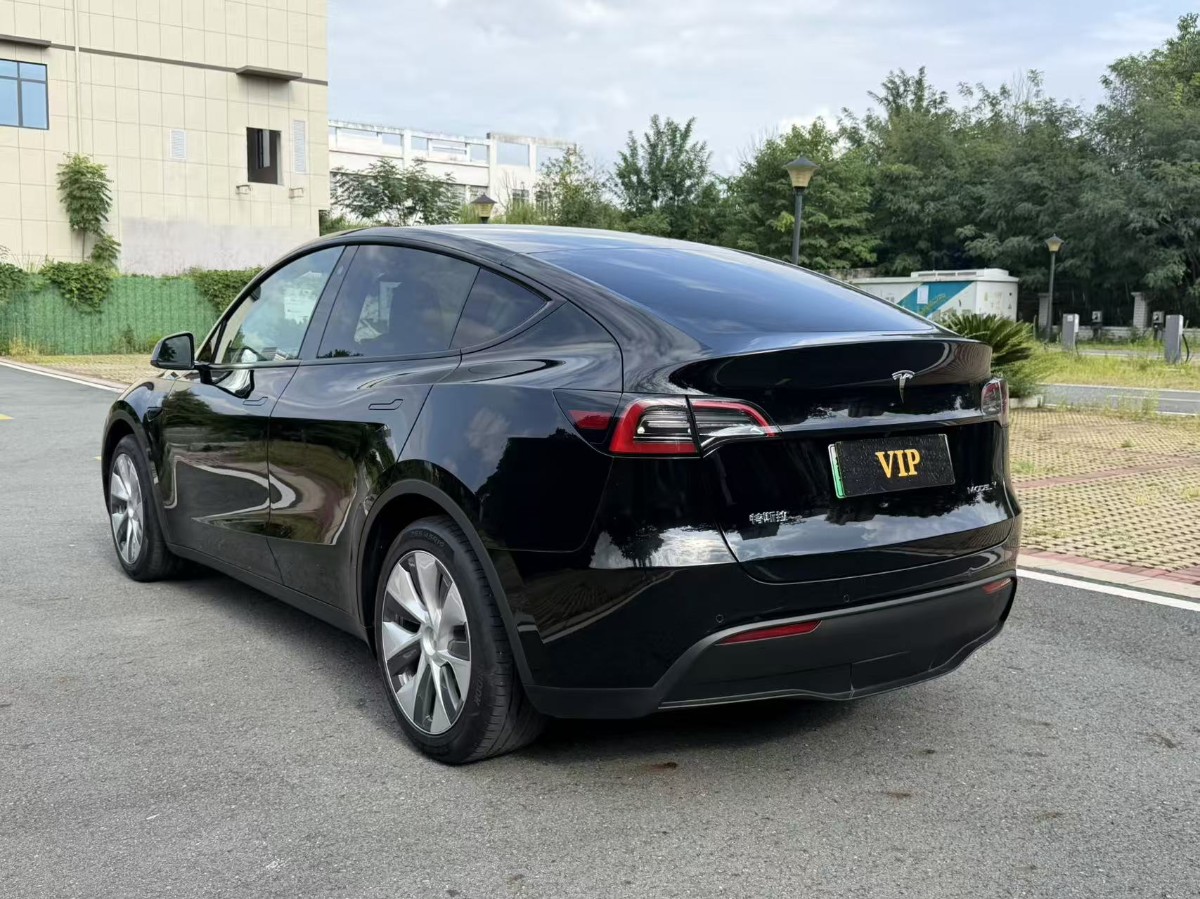 Tesla Model Y 2023 car image #9