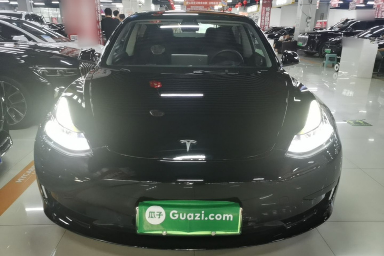 Tesla Model 3 2021 #3 Tesla Model 3 2021 car image #3
