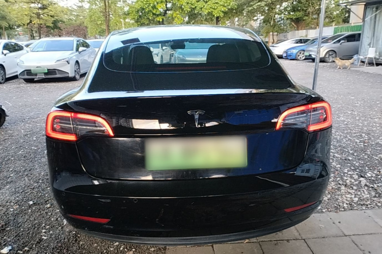 Tesla Model 3 2022 car image #6