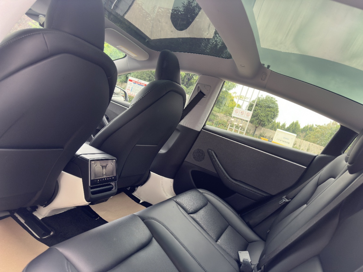 Tesla Model 3 2024 #5 Tesla Model 3 2024 car image #5