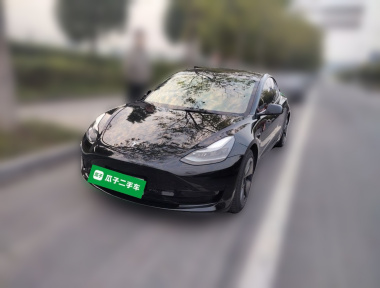 Tesla Model 3 2021 Tesla Model 3 2021 car image
