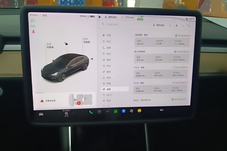 Tesla Model 3 2020 car image #13