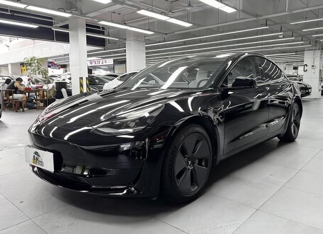 Tesla Model 3 2021 #14 Tesla Model 3 2021 car image #14