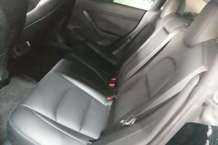 Tesla Model 3 2022 car image #17