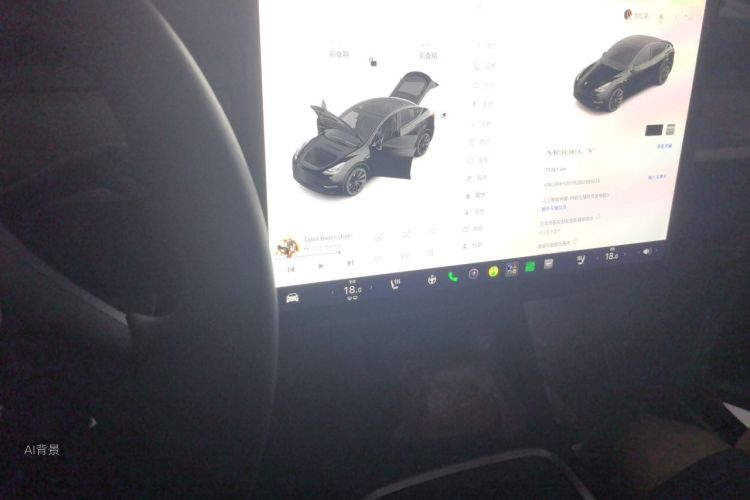 Tesla Model Y 2022 car image #15