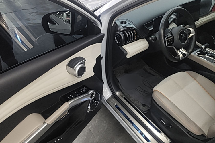 BYD Yuan Plus 2023 car image #16
