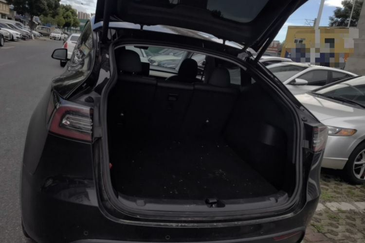 Tesla Model Y 2021 car image #19