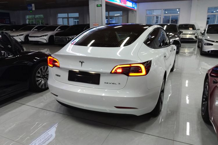 Tesla Model 3 2022 immagine di auto #7