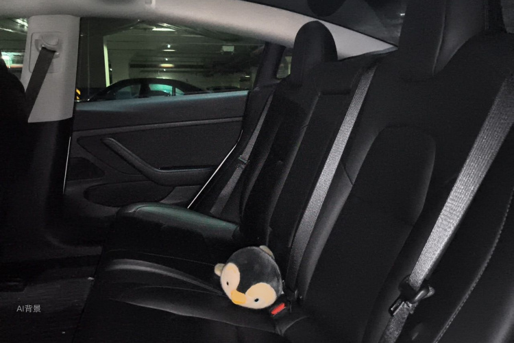 Tesla Model 3 2020 car image #19