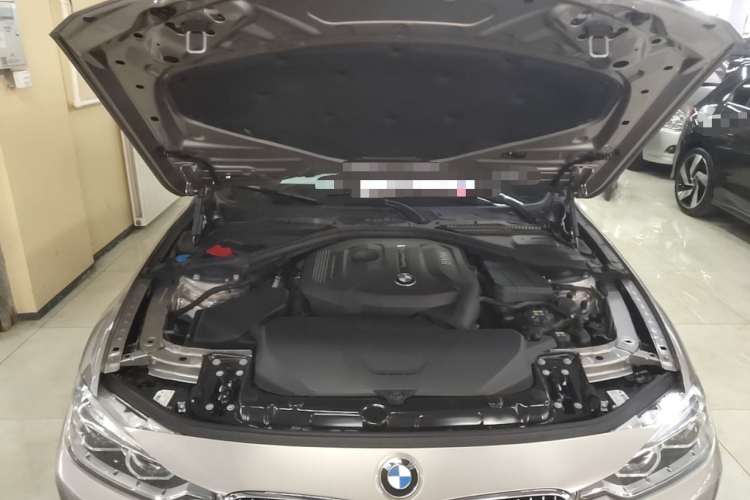 BMW 3 Series 2017 car image #20
