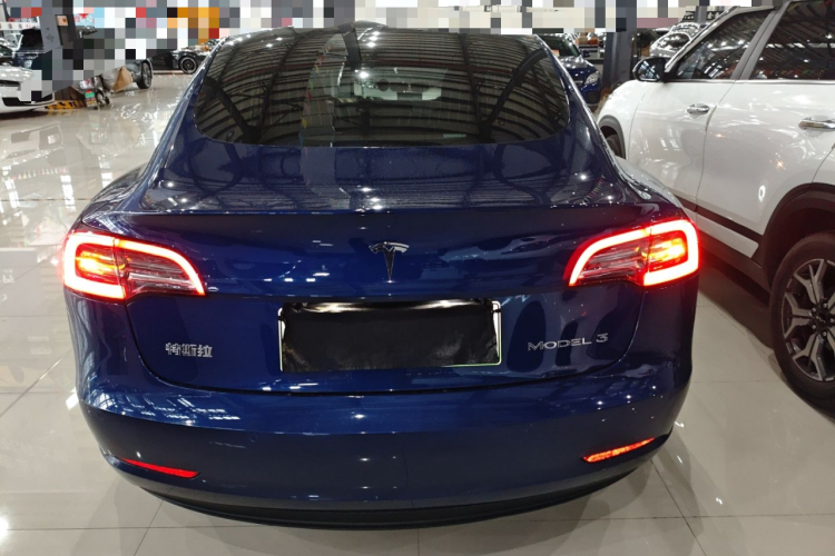 Tesla Model 3 2020 car image #6