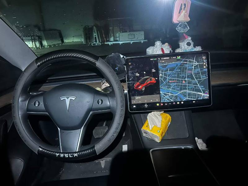 Tesla Model 3 2021 #5 Tesla Model 3 2021 car image #5