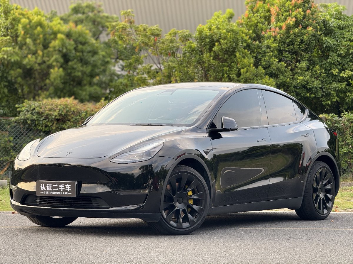 Tesla Model Y 2021 car image 