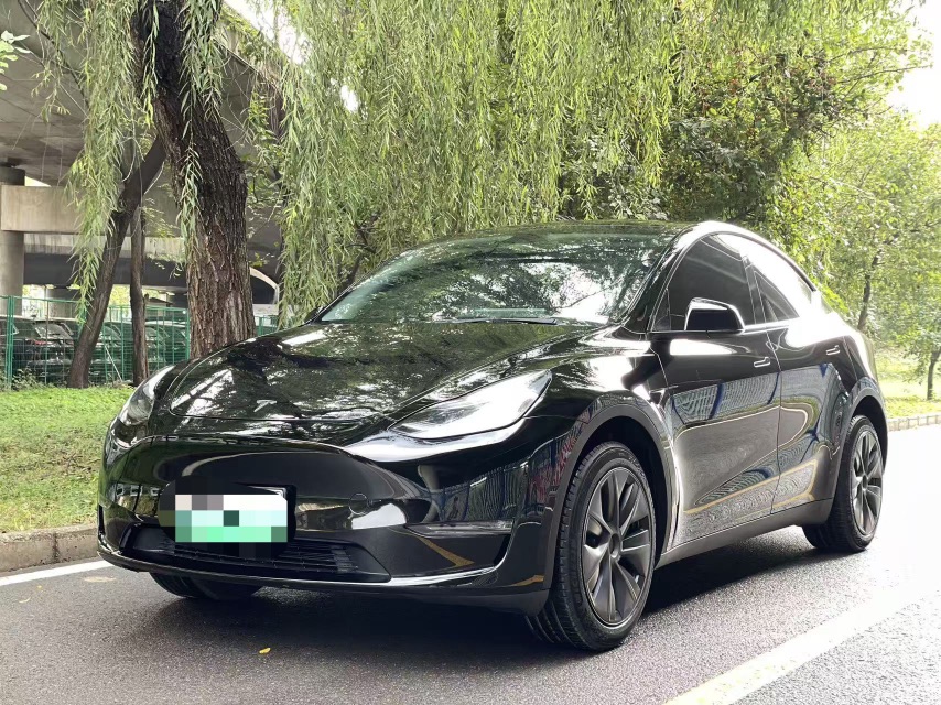 Tesla Model Y 2024 imagen de coche 